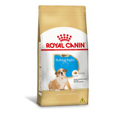 Ração Royal Canin Puppy Bulldog Inglês Cães Filhotes 12k