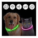 Collar Perro Gato Luminoso Con Luz Led Recargable Usb 