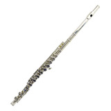 Flauta Traversa 16 Agujeros Hfl100 - Hoffer