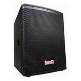 Subwoofer  Activo Wsf10sa Pro Dj 350 Watts Rsm