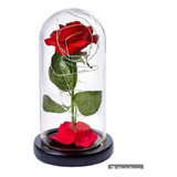 Rosa Eterna Flores Artificiales Con Luces Led Cupula 21cm