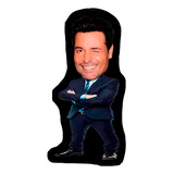 Cojin Peluche Chayanne Decorativo Personalizado Mediano