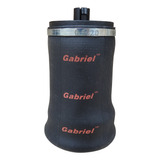 Bolsa De Aire Para Cabina Gabriel Freightliner Century Class