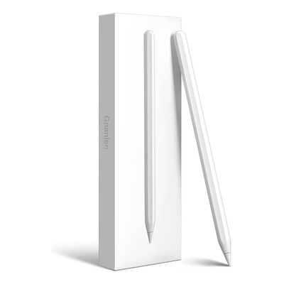 Lápiz Stylus Gnanlen Para iPad 2ª Generación Con Carga Magné