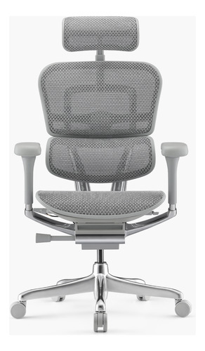 Silla Ergohuman Elite 2 Gris Claro Form