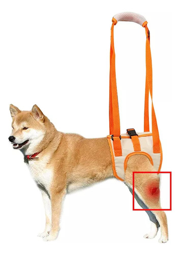 Arnés Dog Booster, Soporte Para Espalda Para Mascotas, S