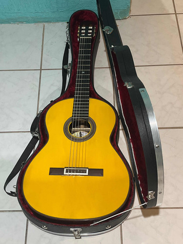 Guitarra De Luthier Gprmtm-01