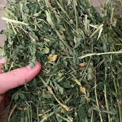 5 Kg De Heno De Alfalfa Alimento Para Conejo Cuyo Chinchilla | Envío gratis