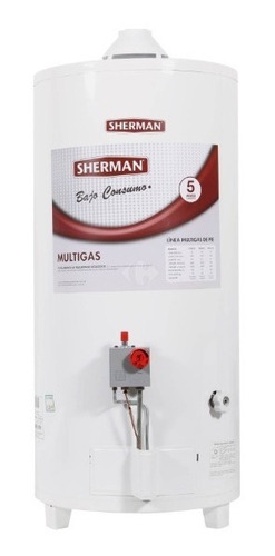 Termotanque Sherman 80 Litros Bajo Consumo Gas Pie By Rheem