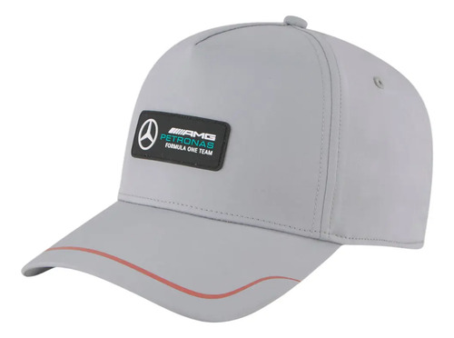 Gorra Puma Mercedes Benz Amg Visera Curva Automovilismo F1 | Envío gratis