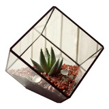 Maceta Terrario Cubo Para Cactus Suculentas Vidrio Vitraux