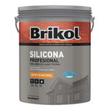 Brikol Ladrillo Impermeabilizante Siliconado Transparente 4l