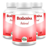 Berberina Vegetal 180 Cápsulas 500mg Rica Em Benefícios