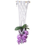 Suporte Para Plantas Macrame