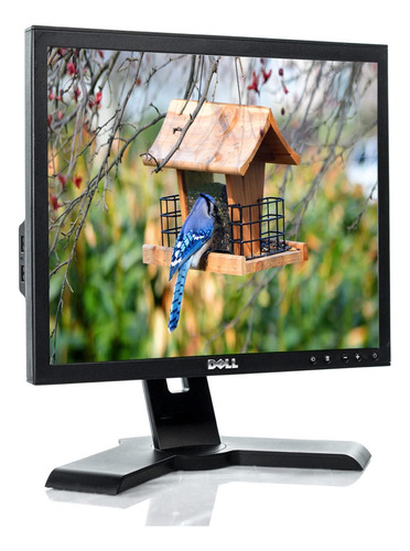 Monitores Dell Cuadrados 17 Vga Dvi Grado B Sin Base Pc