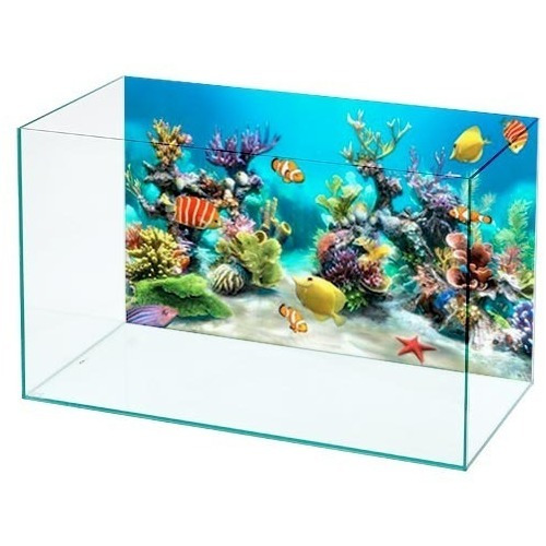 Acuario De Vidrio Con Tapa Y Fondo Decorativo 43 Lts Pethome