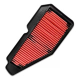 Filtro Aire Yamaha Ray Zr 115 Motexo Ruggieromotos