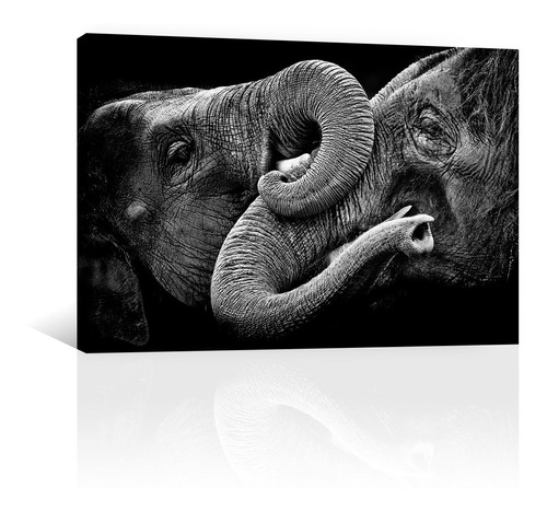 Cuadro Decorativo Canvas Animales Elefantes Jugando