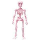 Re-ment Pose Skeleton Human 1 3 Color Fresa Pastel Calaca 