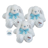 10 Conejos Conejitos Peluche Personalizados Baby Pascua Niño