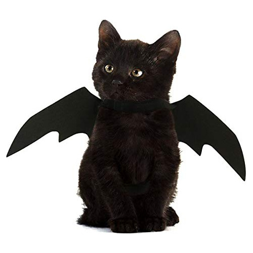 Ropa Gato - Halloween Pet Costume Cute Funny Dog Cat Bat Win