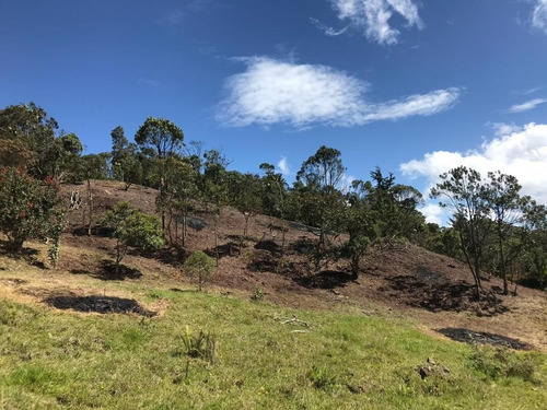 Lote En Venta - Santa Elena, Medellín - Imagen 4
