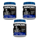 Combo 3un Suplemento Aminomix Gold Cães Gatos 500g - Vetnil