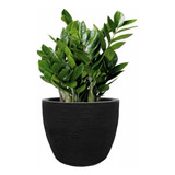 Vaso Grafiato N1 Plantas Jardim Varanda Sala Luxo Decoração 