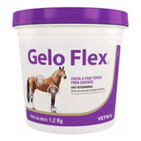 Gelo Flex 1,2kg Pasta A Frio Tópica Equinos Cavalos Vetnil