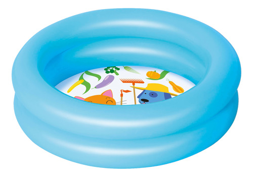 Pileta Inflable Bebes 61 Cm X 15 Cm 21 Litros 2 Aros Colores