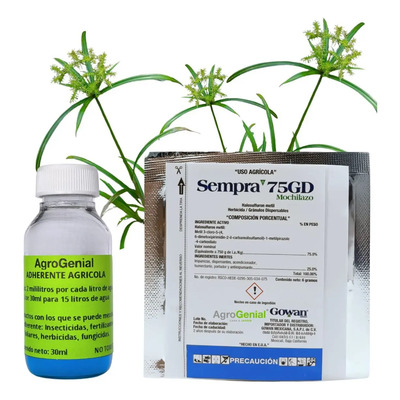 Sempra Mochilazo 6g Elimina Pasto Coquillo Cyperus 1 Sobre | Envío gratis