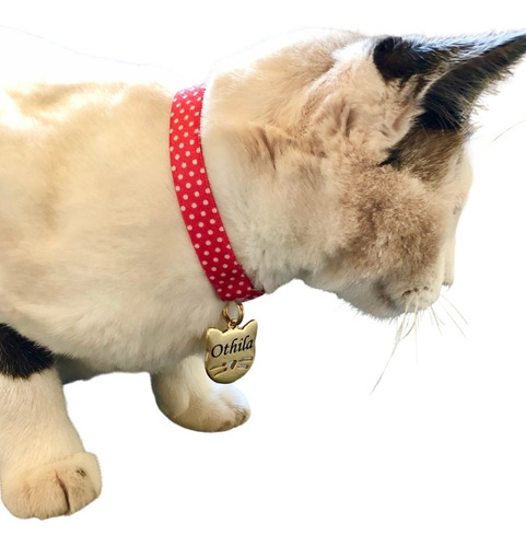 Plaquinha Identificação Com Coleira Anti Enforcamento Gato