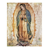 Virgen De Guadalupe Oficial Giclee En Lienzo 106x132