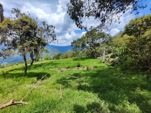 Lote En Copacabana Vereda El Zarzal