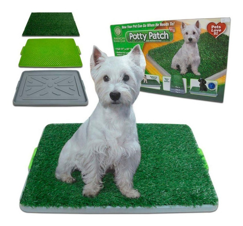 Baño Perro Gato Puppy Potty Ecológico Grande