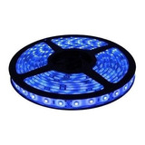 Rollo Tira Led 5050 Azul Ip20 Int. -24v -5 Mts. Con Adhesivo