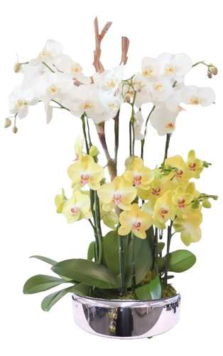 Arreglo De Orquídeas Grande Con Follajes