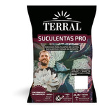 Substrato Cultivo Muda Suculentas Fácil Usar Envio Já Oferta