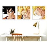 Set Cuadros Dragon Ball