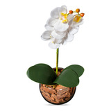 Arranjo De Orquídea Branca Artificial No Vaso Transparente