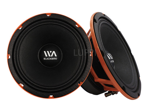 War Audio Medio Rango Black Bird 8 Pulgadas 800w 1 Par