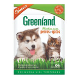 Semillas De Hierba Gatera Para Gatos Y Perros 100g Greenland