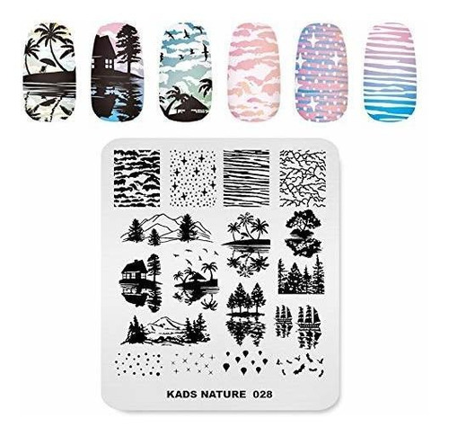 Equipo Para Decorar Uñas Nail Stamping Plate Fashion Nature 