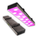 Panel Led 600w Cultivo Indoor Crecimiento Flora Terra Grow