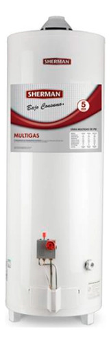 Termotaque A Gas Sherman 80 Lts Conexion Superior Multigas