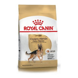 Royal Canin Ovejero Aleman Adulto Bolsa 12 Kg Alimento Seco 