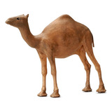 1:64 Figura De Animal Camel Mini Para Diseño De Paisaje