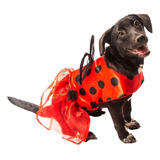 Disfraz Catarina Perro Halloween Talla 4 Mascota Pet Pals