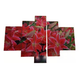 Cuadro Decorativo Poliptico 5 Partes Flores Rojas