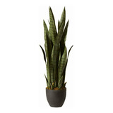 Nearly Natural 4855 Sansevieria Plant With Black Planter,